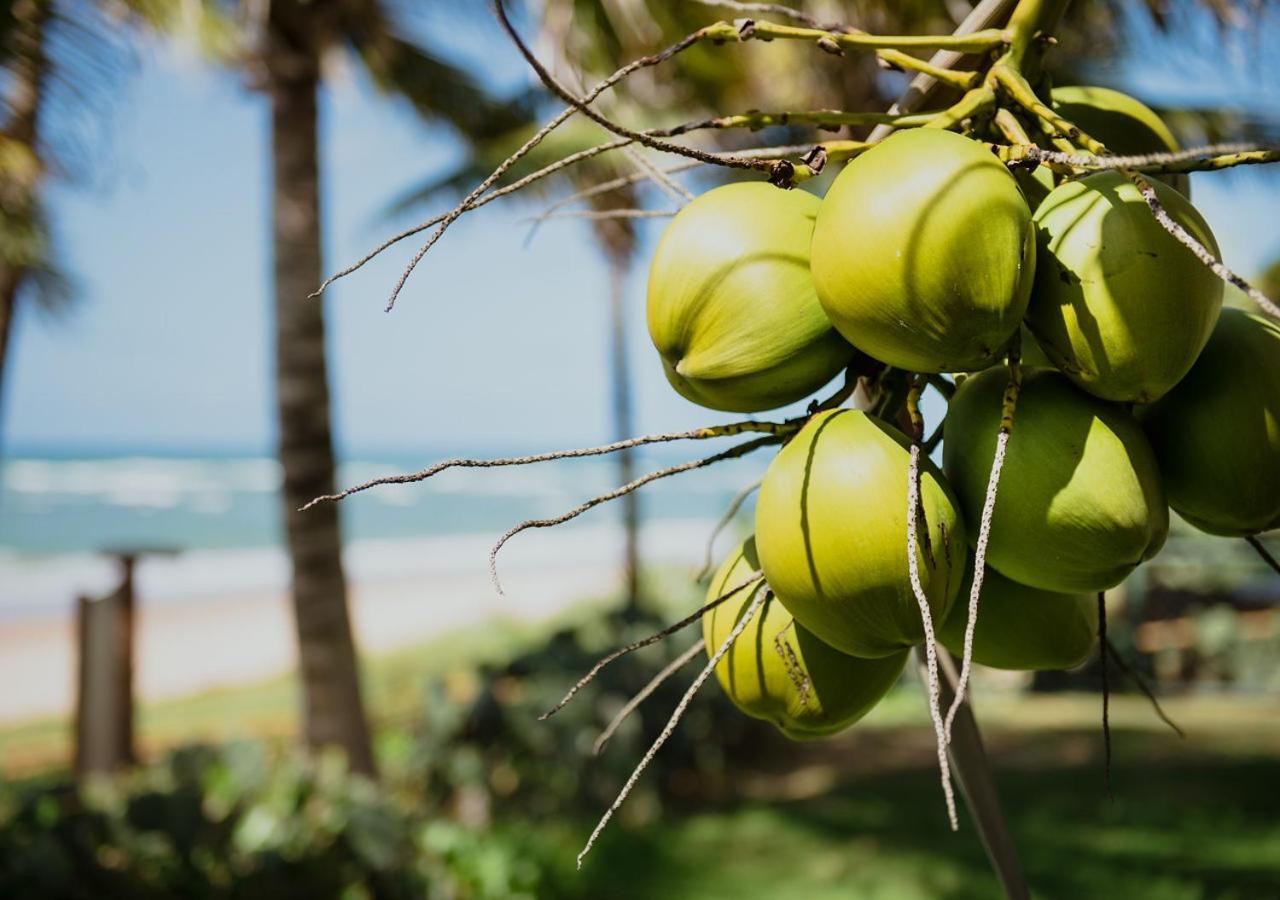 Flat Guarajuba Beira Da Praia Pe Na Areia ภายนอก รูปภาพ